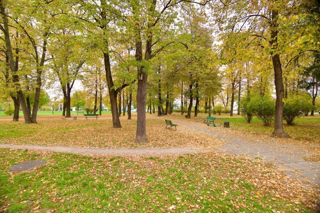 Apartamentysnu, Jagiellonski Premium, Centrum Radom